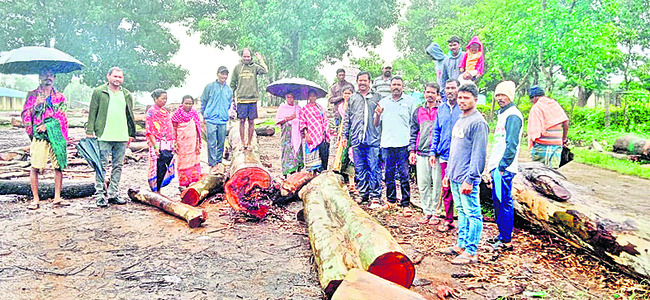చెట్లు అక్రమ నరికివేతపై ఆందోళన1