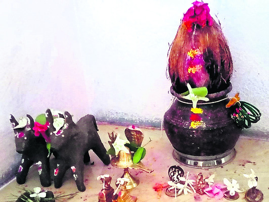 భక్తిశ్రద్ధలతో మట్టి ఎద్దుల అమావాస్య 1