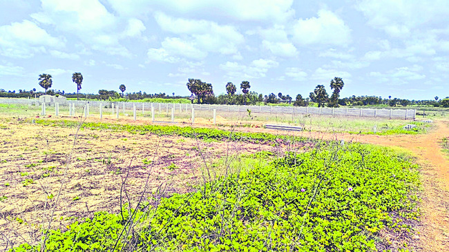 తీరంలో అధికార భూతాలు1