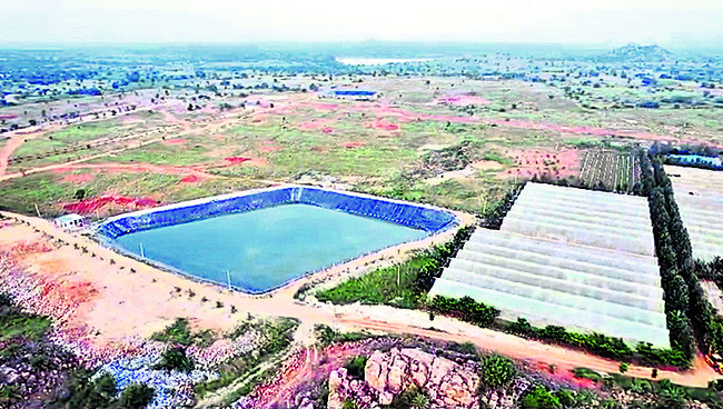 సర్దుకుంటున్న రెడ్డెప్పశెట్టి 1