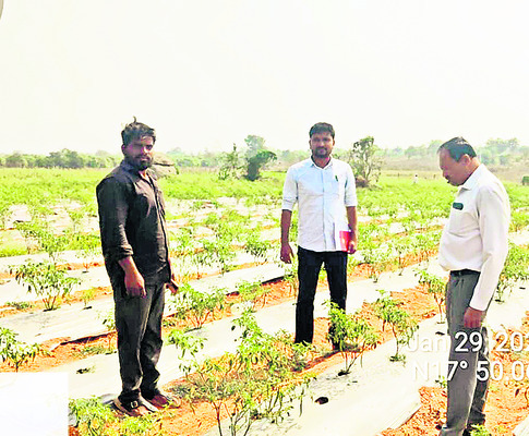 ప్రోత్సాహం1