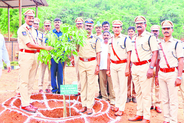 కమనీయం.. రామయ్య కల్యాణం1
