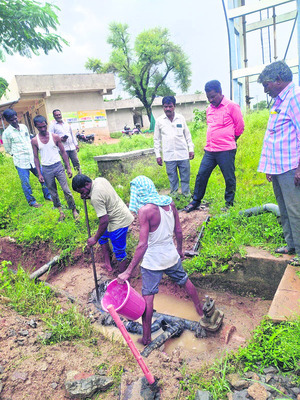 పరిసరాలను శుభ్రంగా ఉంచాలి 1