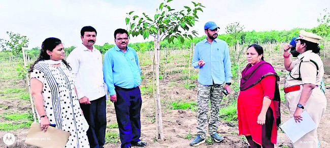 అటవీ అభివృద్ధి, సంరక్షణపై ప్రత్యేక దృష్టి1
