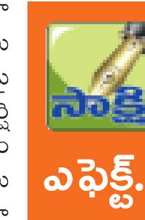 మామిడి తోటల పరిశీలన 2