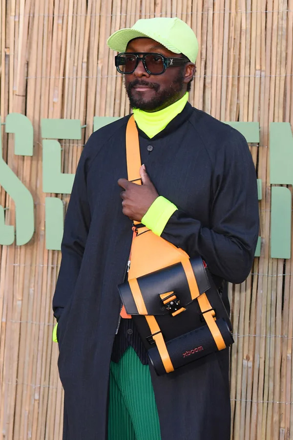 Serpentine Summer Party 2025 pictures inside Photos16