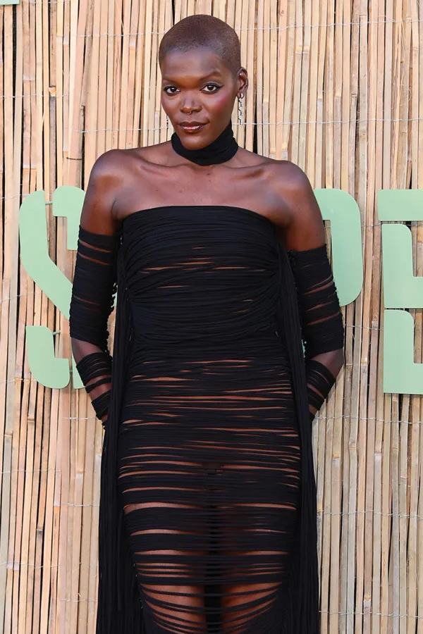 Serpentine Summer Party 2025 pictures inside Photos18