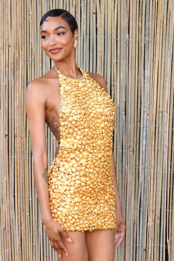 Serpentine Summer Party 2025 pictures inside Photos20