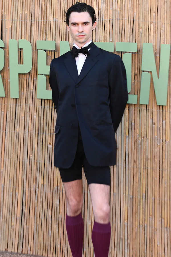 Serpentine Summer Party 2025 pictures inside Photos22