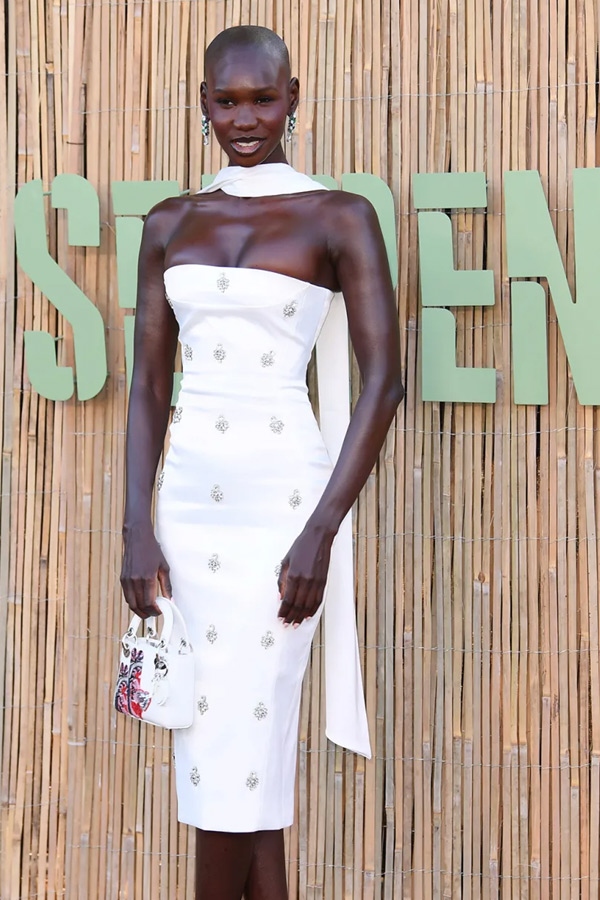 Serpentine Summer Party 2025 pictures inside Photos29