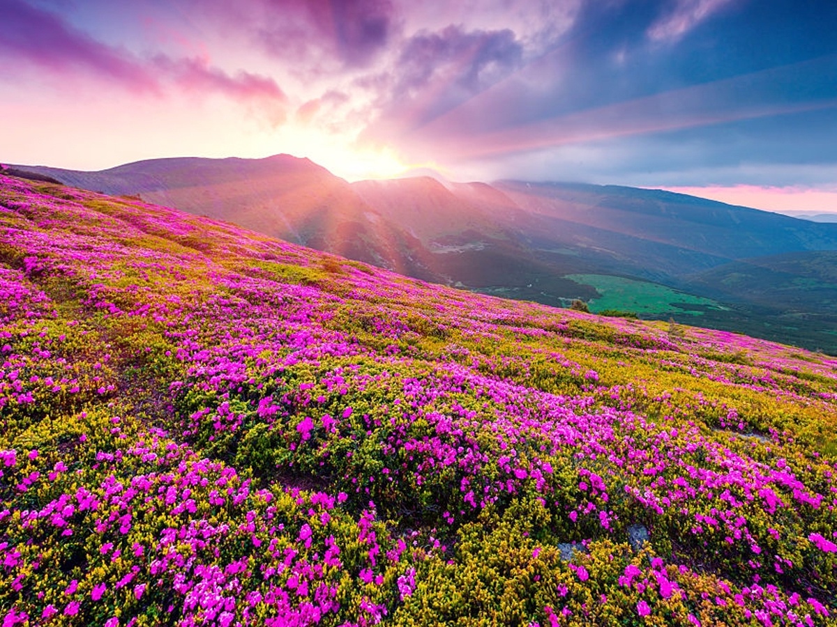 Monsoon Travel: Must see tourist places during This season4