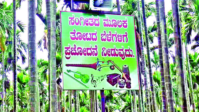 విభిన్న పంటల సాగులో దిట్ట ముత్తణ్ణ2