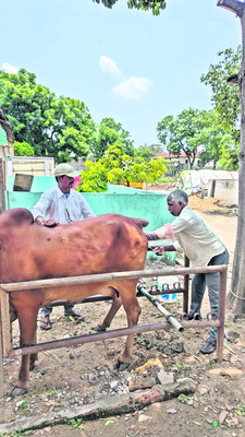 గోపాల మిత్రల గోడు పట్టదా! 1