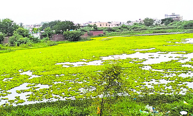 ప్రణాళిక.. ప్రహసనం 3