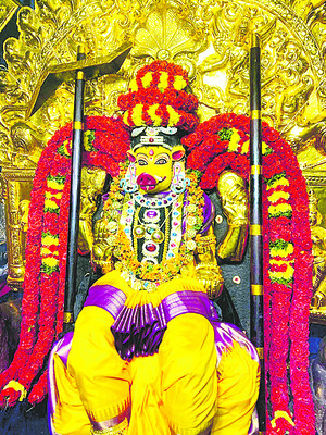 పల్నాడు6