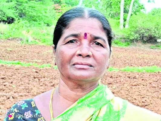 చినుకు లేక.. మొలకెత్తక.. 4