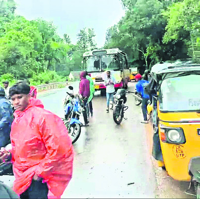 జాతీయ రహదారిపై నేలకొరిగిన భారీ వృక్షం 1