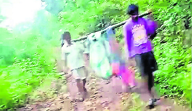 నీలయ్యవలసలో ఏనుగుల గుంపు 1