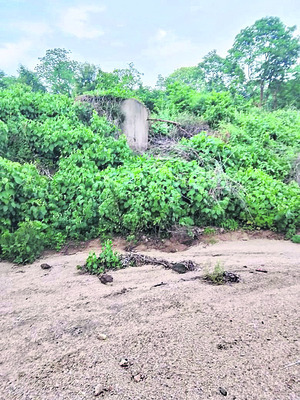 అడవికి ఆపద3