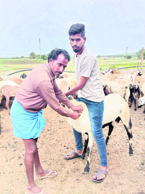 పశువులకు మందుల్లేవ్ !1