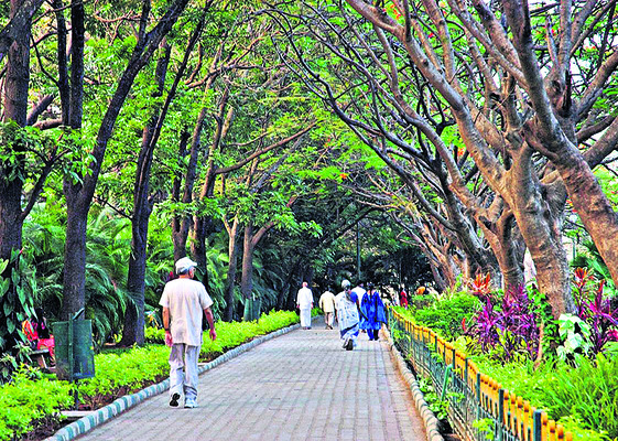భక్తులతో చాముండి కొండ కిటకిట2