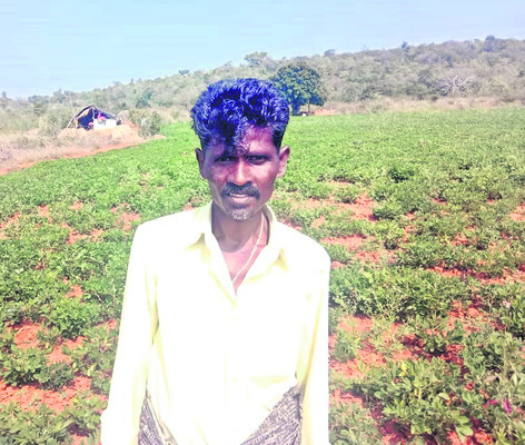 తీరని ‘కౌలు’ కష్టం! 1