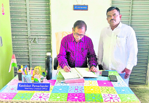 ఆయిల్పామ్ సాగుతో ఆర్థికాభివృద్ధి1
