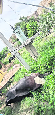 ‘రాచాల’ వాహనంపై దాడి 
1