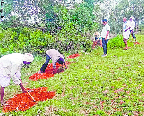 వన మహోత్సవానికి సర్వం సిద్ధం1