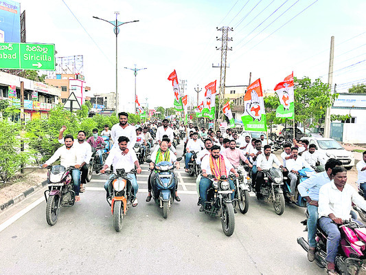 క్యాప్సికమ్తో అమ్మవారికి అలంకరణ
1