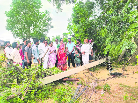 నేడు జాబ్మేళా
3