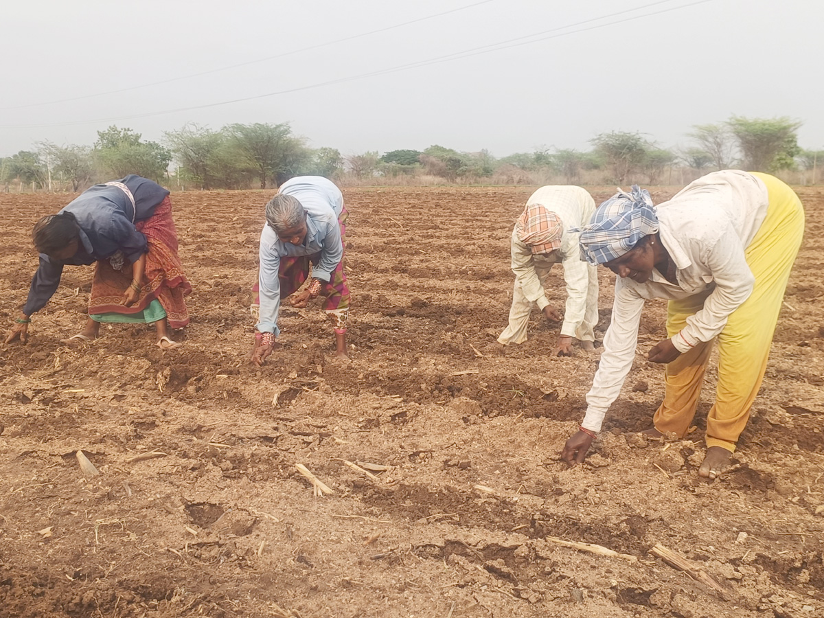 Best Photos of The Week in AP and Telangana Photo Gallery24