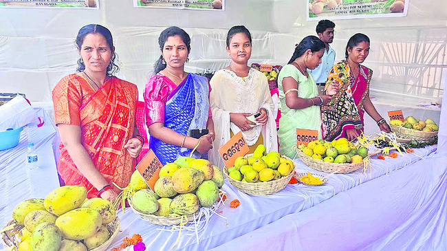 రాయగడ మామిడికి డిమాండ్ 1