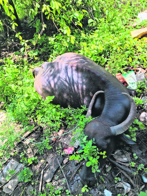 బైక్, ఆటో ఢీ..ఒకరికి గాయాలు 1