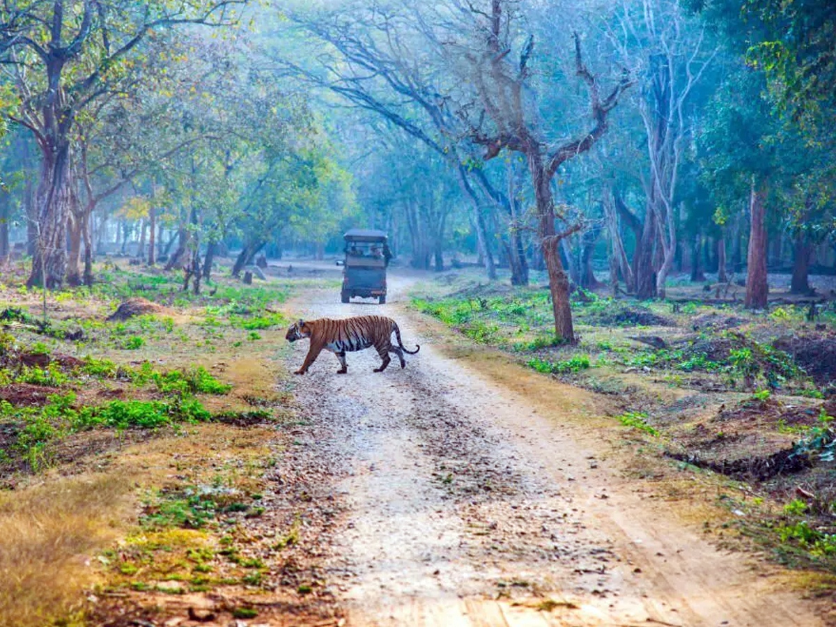 Must Visit These Places In Coorg Karnataka3