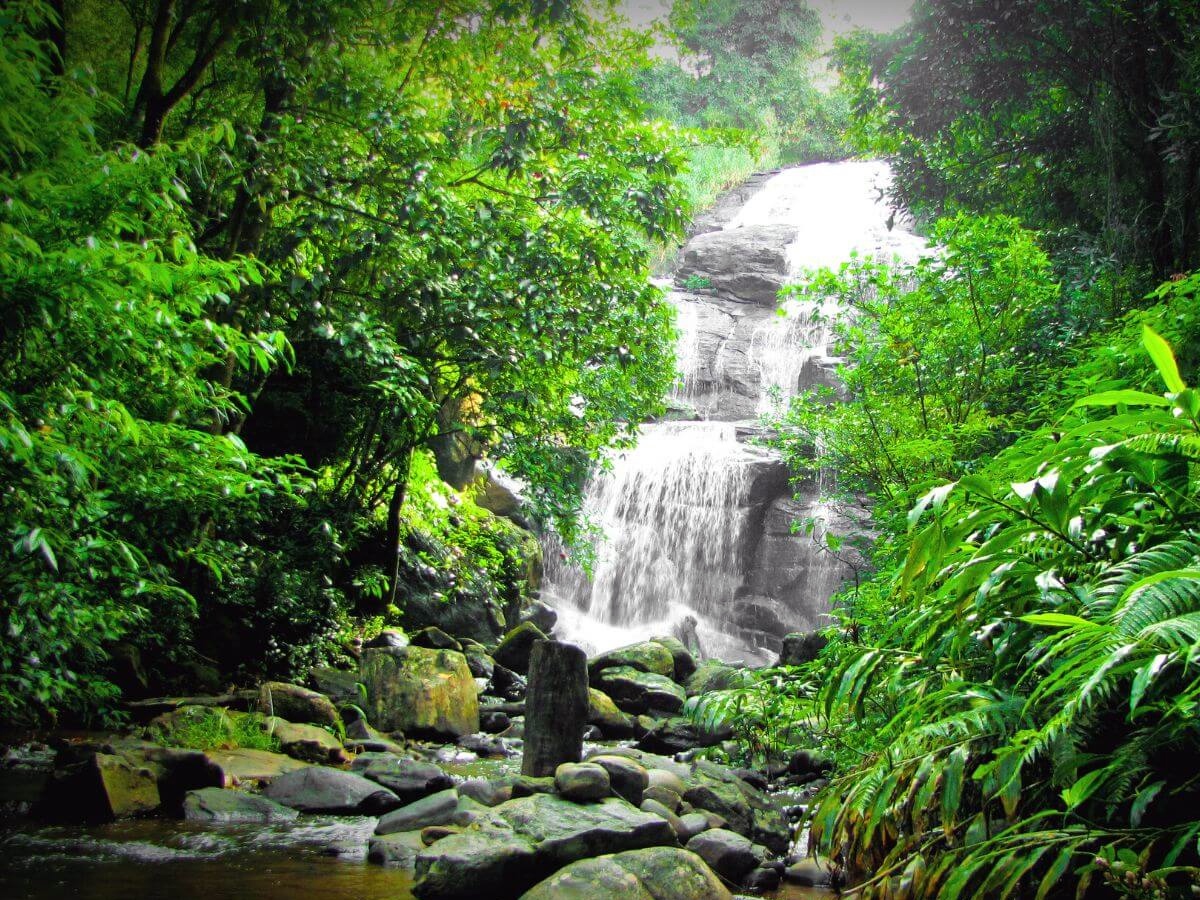 Must Visit These Places In Coorg Karnataka4