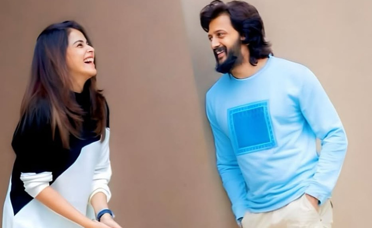 Genelia and Riteish Deshmukh cutest couples Photos6