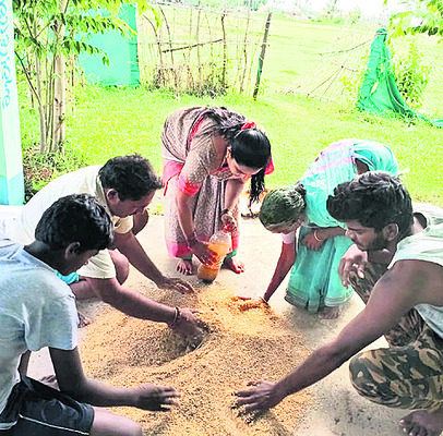 ప్రకృతి సేద్యం.. లాభసాటి వ్యవసాయం1