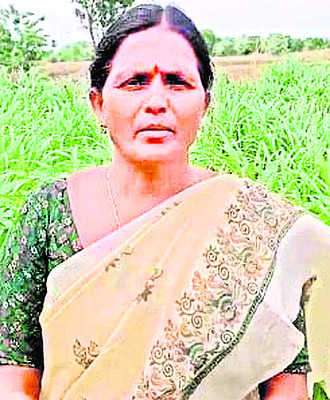 సాగుకు భరోసా4
