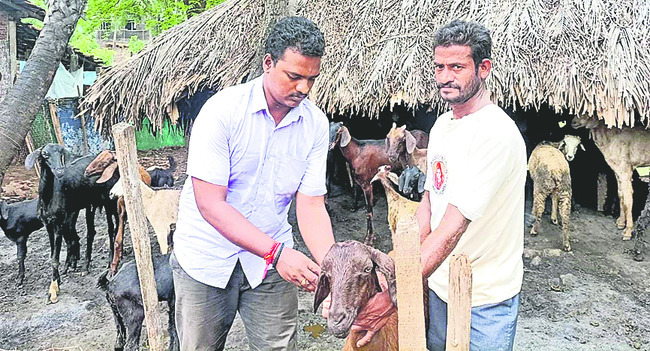 చిరు ప్రాణానికి చిటుక గండం1