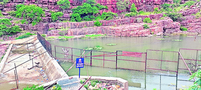 అమ్మవారికి పల్లకీ సేవ 1