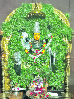 బాస్కెట్బాల్ ఎంపిక పోటీలు
2