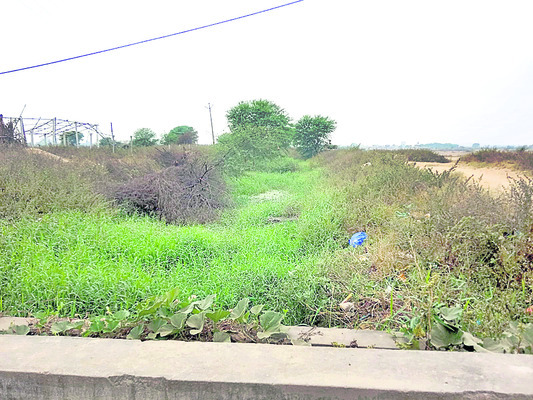 ‘గడ్డెన్న’ నీరు.. గోదారి పాలు 1