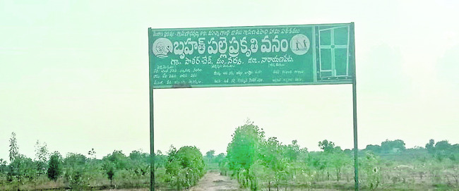 రూ.5.23 కోట్లతో 343 ప్రకృతి వనాలు 1