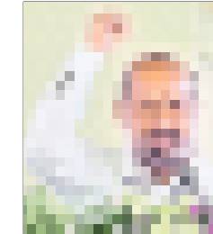 పసుపు రాజధాని6