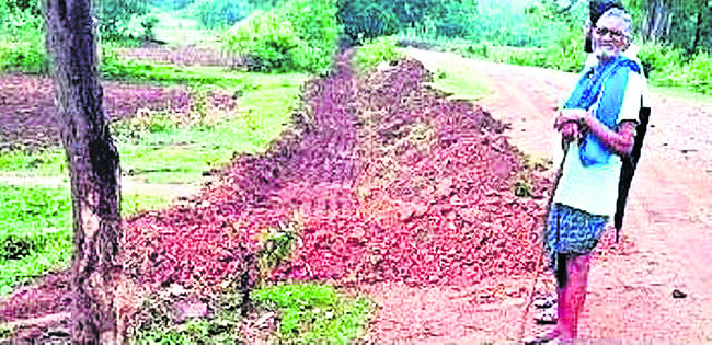ధాన్యం సేకరణ వేగవంతం చేయాలి 1