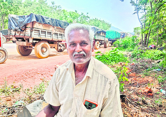 కాయలు కోతకోస్తే కన్నీళ్లే
1