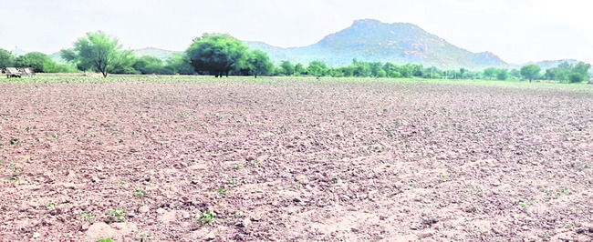 చినుకు రాలక.. చింత తీరక.. 2