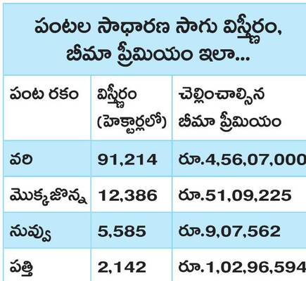 ఐదేళ్లూ ఒక్క రూపాయి కట్టలేదు..
2