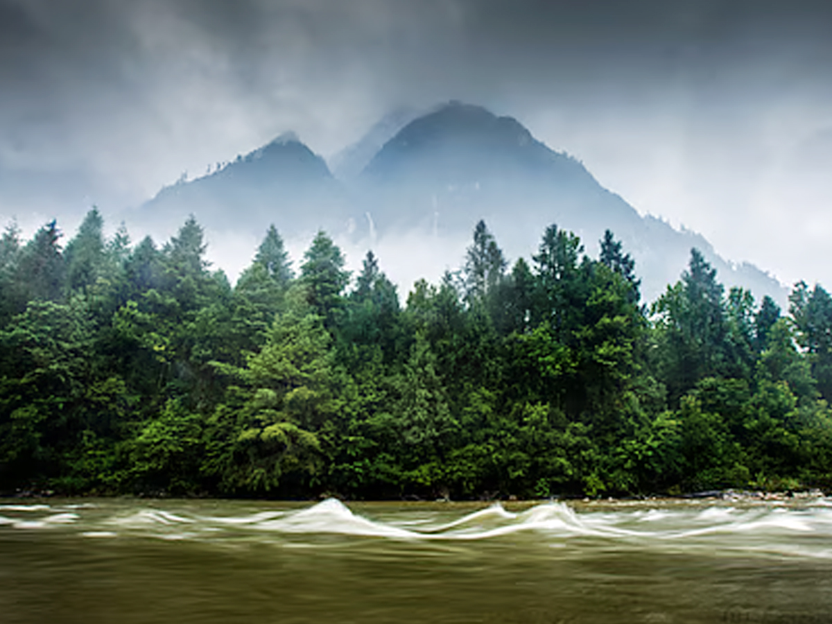 Must Visit Anand Mahindra Favourite Place Dibang Valley Arunachal Pradesh7